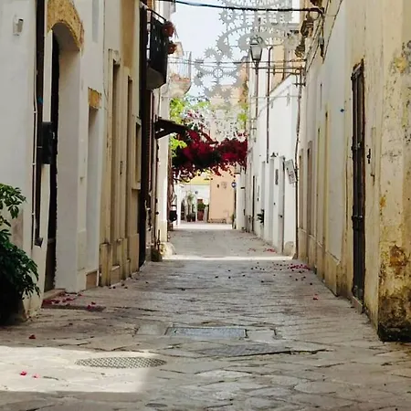 דירה Sofia -centro Storico לבראנו