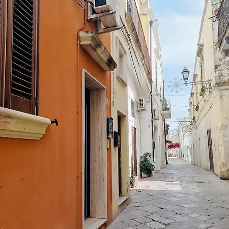 Sofia -centro Storico ليفيرانو