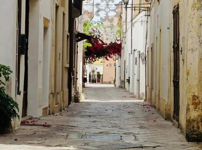 Daire Sofia -centro Storico Leverano