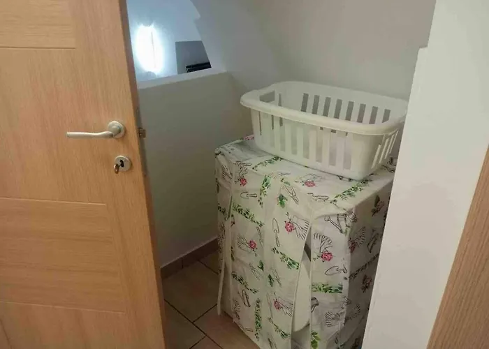 Sofia -centro Storico Daire *